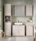 Hochschrank im Angebot bei Opti-Megastore in Suhl Hochschrank Angebote bei Opti-Megastore Suhl für 59,00 €
