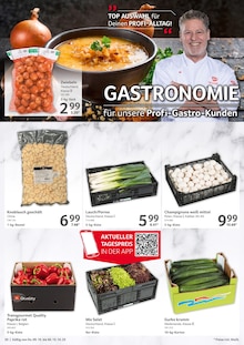 Aktueller Selgros Prospekt "cash & carry" mit 32 Seiten