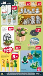 Gartenschlauch Angebot im aktuellen Netto mit dem Scottie Prospekt auf Seite 23