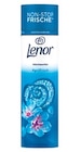 Wäscheparfüm Aprilduft Angebote von Lenor bei Netto mit dem Scottie Freiberg für 6,29 €