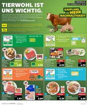 Aktueller Kaufland Prospekt mit Schweineschnitzel, "KNÜLLER", Seite 22