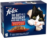 Katzennassfutter im Angebot bei REWE in Herten Katzennassfutter Angebote von Felix bei REWE Herten für 3,99 €