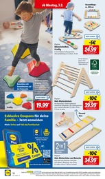 Holz Angebot im aktuellen Lidl Prospekt auf Seite 24