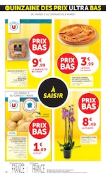 Offre Fleurs dans le catalogue U Express du moment à la page 18