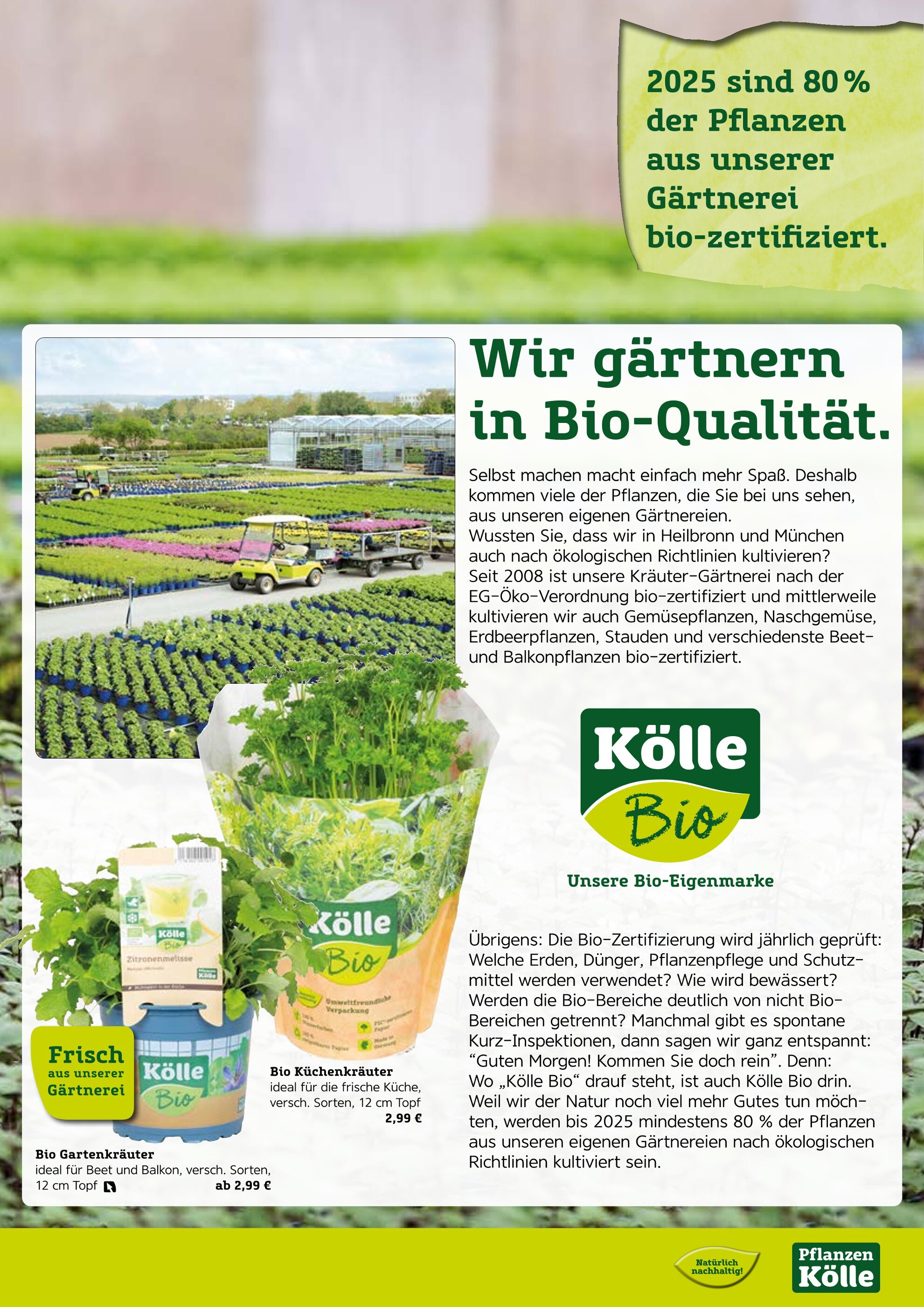 ALDI Nord Erdbeerpflanzen Angebot ᐅ Finde den Preis im aktuellen Prospekt