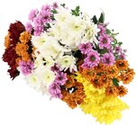 Chrysanthemenstrauß »Santini« im Angebot bei REWE in Neubrandenburg Chrysanthemenstrauß »Santini« Angebote bei REWE Neubrandenburg für 3,49 €