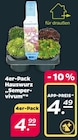 Hauswurz für 4,49 € bei Netto mit dem Scottie im Angebot Hauswurz im aktuellen Netto mit dem Scottie Prospekt