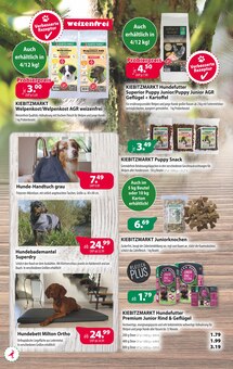 Tierbedarf im Kiebitzmarkt Prospekt "Pflanzzeit!" mit 16 Seiten (Paderborn)