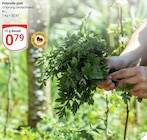 Petersilie glatt bei GLOBUS im Hattersheim Prospekt für 0,79 €