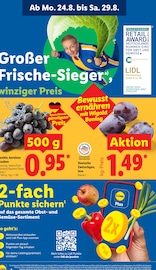 Knoblauch im Lidl Prospekt in Nürnberg Aktueller Lidl Prospekt mit Knoblauch, "LIDL LOHNT SICH", Seite 2
