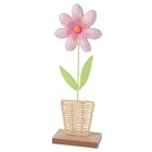 Deko-Aufsteller Blume mit Keramikblüte im aktuellen Ernstings family Prospekt für 5,99 €