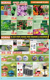Chaise Angebote im Prospekt "Votre Discounter Régional" von Norma Chaise Angebote im Prospekt "Votre Discounter Régional" von Norma auf Seite 4