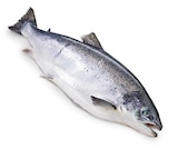 Lachs von Bömlo, pro trace im aktuellen METRO Prospekt für 13,63 €