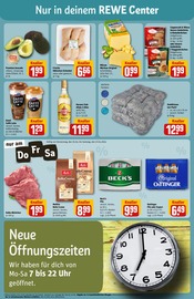 Ähnliche Angebote wie Paravent im Prospekt "Dein Markt" auf Seite 3 von REWE in Brühl