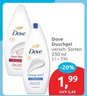 Duschgel Samt-Weiß von Dove für 1,99 € bei budni im Angebot Duschgel Samt-Weiß von Dove im aktuellen budni Prospekt