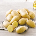 Pomme de terre de consommation - Super U à Brive-la-Gaillarde Pomme de terre de consommation en promo chez Super U Brive-la-Gaillarde à 2,59 €