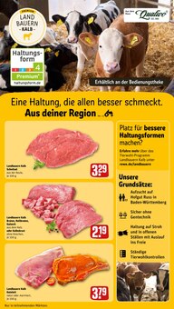 Schweinefleisch im REWE Prospekt "Dein Markt" mit 32 Seiten (Freiburg (Breisgau))