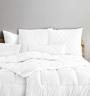 KOPFKISSEN 40x80 cm im Angebot bei porta Möbel in Grevenbroich KOPFKISSEN 40x80 cm Angebote von SilverCrown by Brinkhaus bei porta Möbel Grevenbroich für 34,99 €