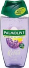 Duschgel oder Flüssigseife im Angebot bei Netto Marken-Discount in Euskirchen Duschgel oder Flüssigseife Angebote von Palmolive bei Netto Marken-Discount Euskirchen für 1,00 €