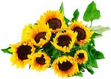 Sonnenblumen im Angebot bei REWE in Braunschweig Sonnenblumen Angebote bei REWE Braunschweig für 2,79 €