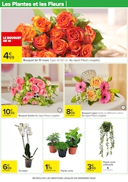 Offre Orchidée dans le catalogue Carrefour du moment à la page 17