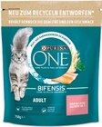 Katzentrocken­nahrung von Purina One im aktuellen Netto mit dem Scottie Prospekt