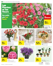 Fleurs Angebote im Prospekt "Maxi format mini prix" von Carrefour auf Seite 46