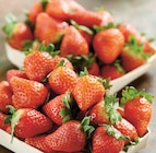 Fraise Ronde en promo à 2,99 € chez Intermarché Super Fraise Ronde dans le catalogue Intermarché Super