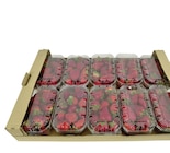 Aktuelle Erdbeeren Angebote bei METRO in Koblenz Aktuelles Erdbeeren Angebot bei METRO in Koblenz ab 4,13 €