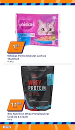 Action Tierbedarf im Prospekt 