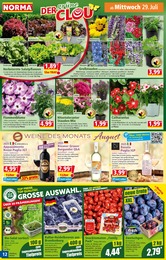 Norma Blumen im Prospekt Norma Blumen im Prospekt
