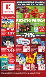 Pampers im Kaufland Prospekt in Straubing Aktueller Kaufland Prospekt mit Pampers, "Hier bin ich richtig", Seite 12
