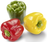 Paprika Mix bei METRO im Braunschweig Prospekt für 1,44 €