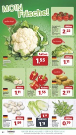 Pilze im famila Nordwest Prospekt in Oldenburg Aktueller famila Nordwest Prospekt mit Pilze, "Markt - Angebote", Seite 4