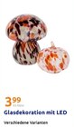 Glasdekoration mit LED im Angebot bei Action in Emden Glasdekoration mit LED Angebote bei Action Emden für 3,99 €