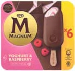 Magnum Multipackung 6er-Pack im V-Markt Prospekt Magnum Multipackung 6er-Pack von Langnese im aktuellen V-Markt Prospekt für 3,33 €