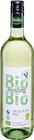 Aktuelles Pinot Grigio oder Riesling Angebot bei Netto Marken-Discount in Leipzig ab 2,49 €