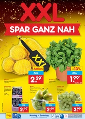 Pflanzen im Netto Marken-Discount Prospekt in Wolfenbüttel Aktueller Netto Marken-Discount Prospekt mit Pflanzen, "Aktuelle Angebote", Seite 12