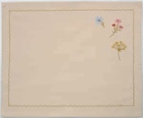 Set de table - CIKORIE dans le catalogue Jysk