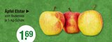 Äpfel Elstar im aktuellen V-Markt Prospekt