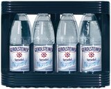 Mineralwasser Angebot in Bitzen Mineralwasser im aktuellen Prospekt bei REWE in Bitzen