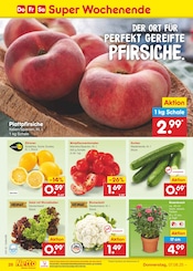 Blumenkohl im Netto Marken-Discount Prospekt in Stuttgart Aktueller Netto Marken-Discount Prospekt mit Blumenkohl, "Aktuelle Angebote", Seite 48