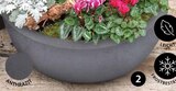 KUNSTSTOFF-SCHALE ‘BASALT UP’ im Angebot bei Dehner Garten-Center in Mainz KUNSTSTOFF-SCHALE ‘BASALT UP’ Angebote bei Dehner Garten-Center Mainz für 9,99 €