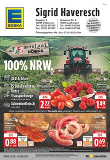 EDEKA Prospekt "Aktuelle Angebote" mit  Seiten (Ladbergen)