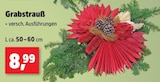 Grabstrauß für 8,99 € bei Thomas Philipps im Angebot Grabstrauß im aktuellen Thomas Philipps Prospekt