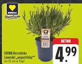 Angebot im EDEKA Dettelbach Prospekt EDEKA Dettelbach Prospekt mit im Angebot für 4,99 €