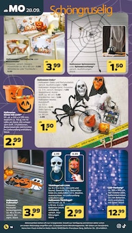 Teppich im Netto mit dem Scottie Prospekt "Günstig. Besser. Für Dich." mit 41 Seiten (Rostock)
