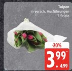 E center Stockelsdorf Prospekt mit  im Angebot für 3,99 €