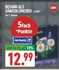 Botanicals Gänseblümchen Angebote von LEGO bei Marktkauf Hagen für 12,99 €