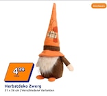 Action Forchheim - Herbstdeko Zwerg Angebot im Prospekt Herbstdeko Zwerg bei Action im Forchheim Prospekt für 4,99 €